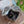 Load image into Gallery viewer, Heart shaped celtic motif Jewellery box.