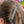 Load image into Gallery viewer, A close-up of a woman's hair secured with a decorative silver hair claw clip, with a blurred background of pink and blue flowers.
